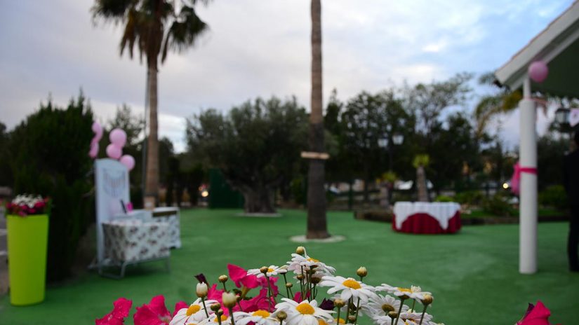 comunión en hacienda Romero, jardín con flores